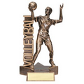 Male Volleyball Billboard Resin Series Trophy (6.5")
